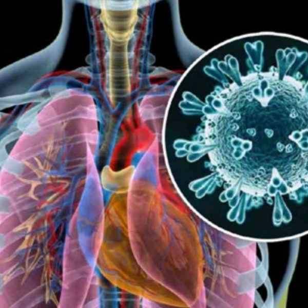 Metapneumovirus Does Not Pose a Global Threat