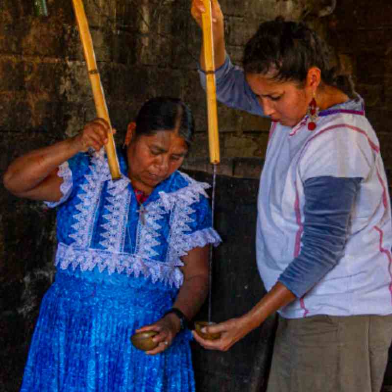 Researchers Focus on Artisanal Mezcal to Enhance Its Quality