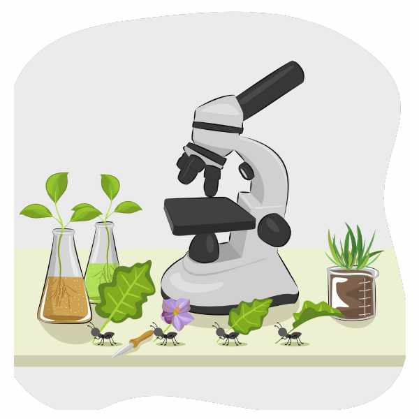 From ants to laboratories