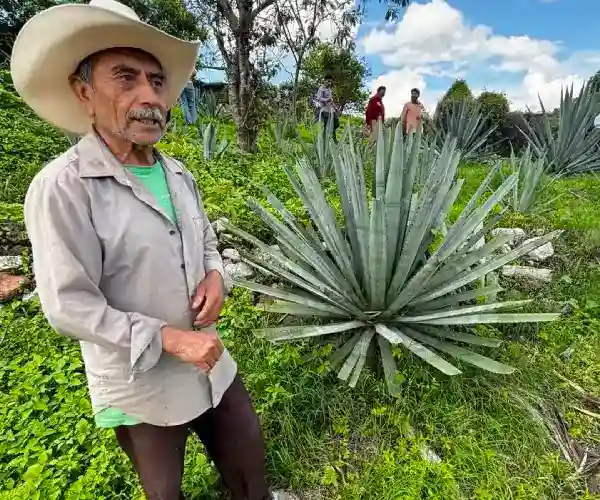 CIITA Puebla Plays Key Role in Expanding Mezcal Appellation of Origin