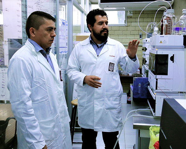 Desarrolla IPN nuevos fármacos contra cáncer de mama