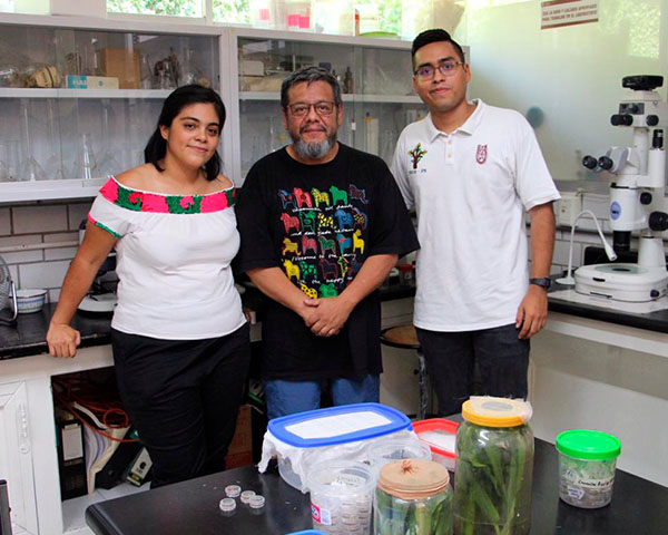 Estudia IPN control biológico contra plagas de cultivos en México