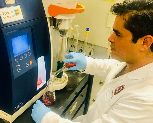 Enriquecen en el IPN la calidad nutricional del filete de tilapia con aceite de aguacate
