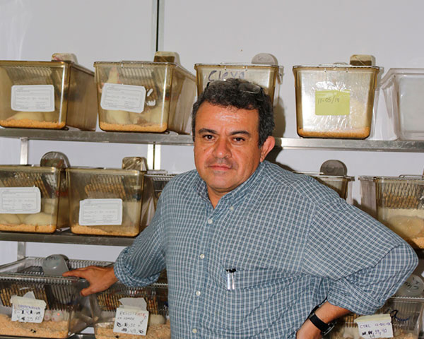 Profundiza IPN estudio sobre esquizofrenia para encontrar nuevos tratamientos