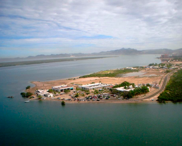 Politécnicos monitorean la calidad del agua para detectar marea roja