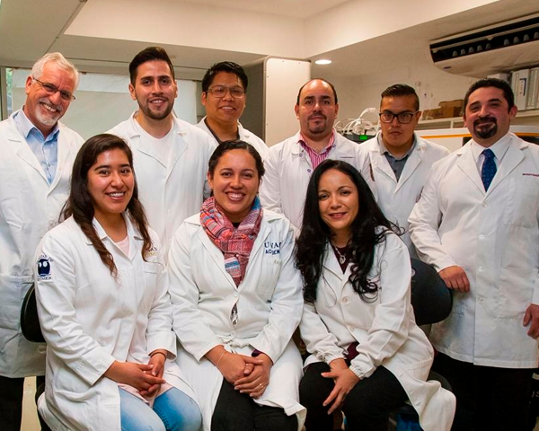 Progresa IPN en el diseño de anticuerpos para combatir Chikungunya