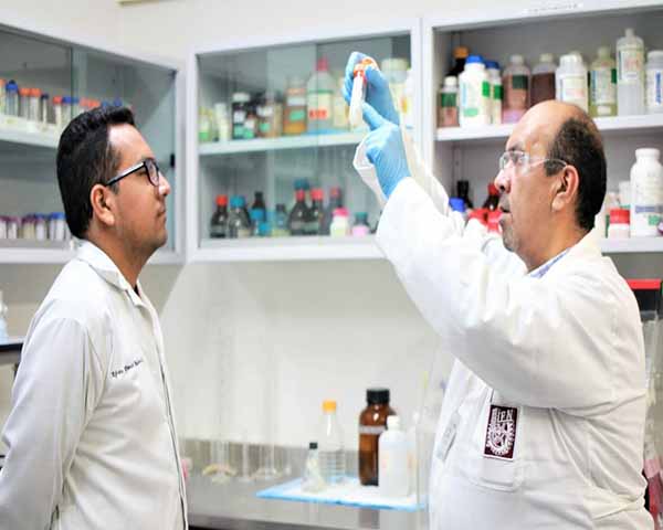 Crea IPN bioinsecticida capaz de detener al mosco transmisor de Dengue, Chikungunya y Zika