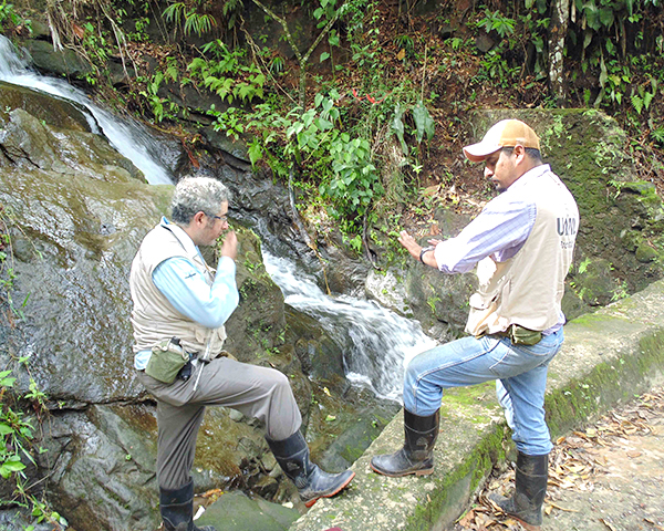  Estudia IPN ADN de insectos transmisores de enfermedades