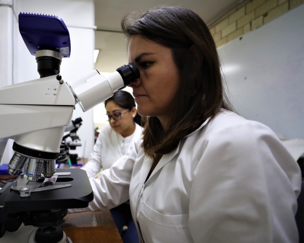  Necesario promover la investigación sobre enfermedades raras: IPN