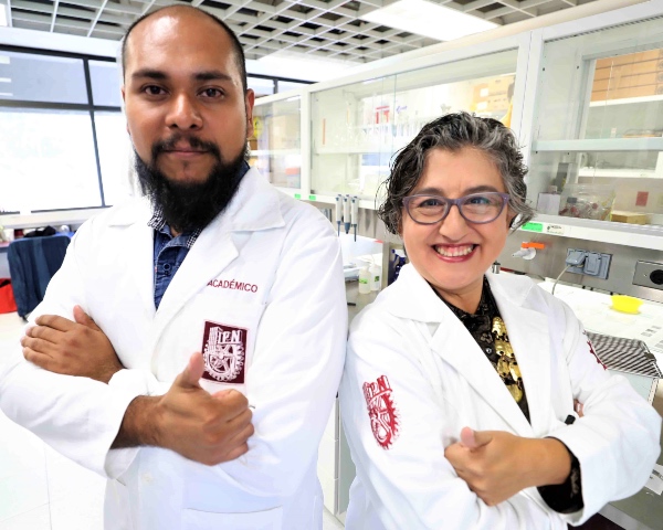 Comprueba IPN efecto gastroprotector del propóleo