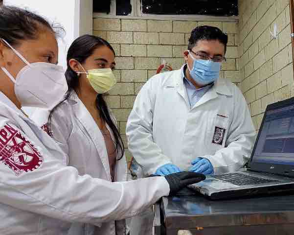 Desarrolla y evalúa IPN fármacos profilácticos contra COVID-19