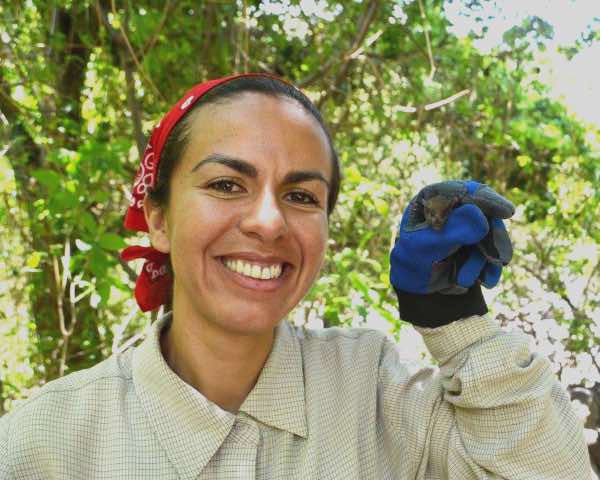 Estudia el IPN el sistema de ecolocalización de los murciélagos 