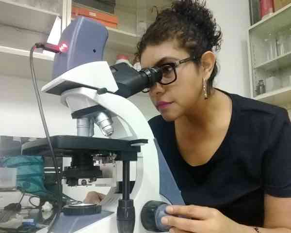 Estudia IPN propiedades del aceite de oliva contra el parkinson