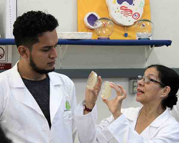 Detectan especialistas del IPN bacterias difíciles de combatir en hospitales 