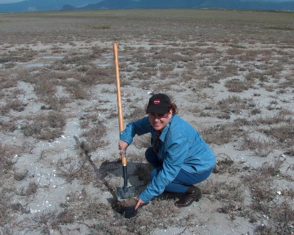 Patenta el IPN biotecnología para evitar el uso de químicos en el campo