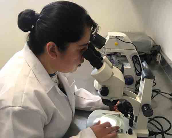 Podrían reducir complicaciones de COVID-19 Vitamina D, Resveratrol, Trehalosa y Metformina 