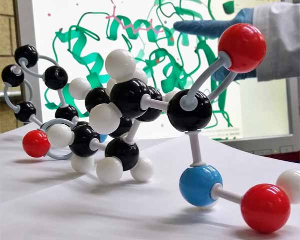 Prevención y ciencia de frontera, elementos importantes contra el cáncer: científico del IPN 