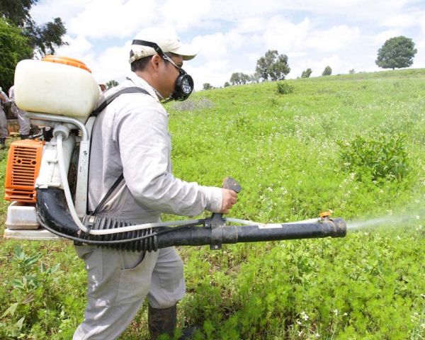 IPN develops bioinsecticides for economic interest crops