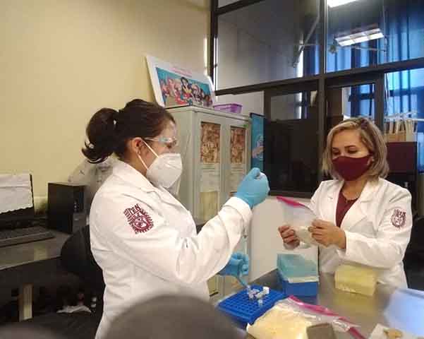 Salud de microbiota intestinal repercute en  respuesta del sistema inmunitario ante COVID-19