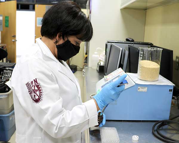 Estudio del IPN confirma que consumo de semilla germinada de amaranto reduce niveles de colesterol   