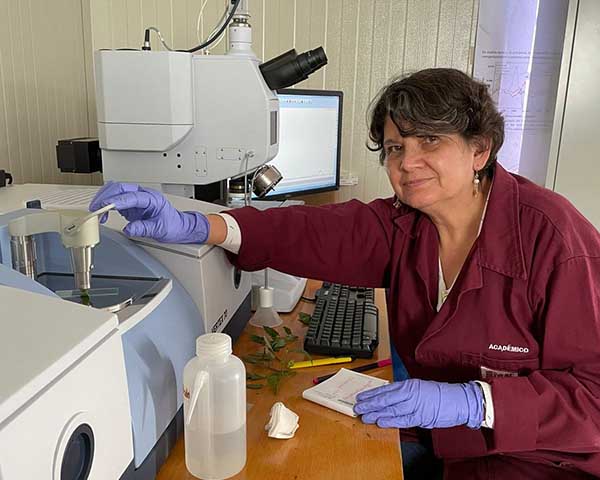 Estudia IPN moléculas con potencial actividad biológica  contra plagas de cultivos de jitomate   