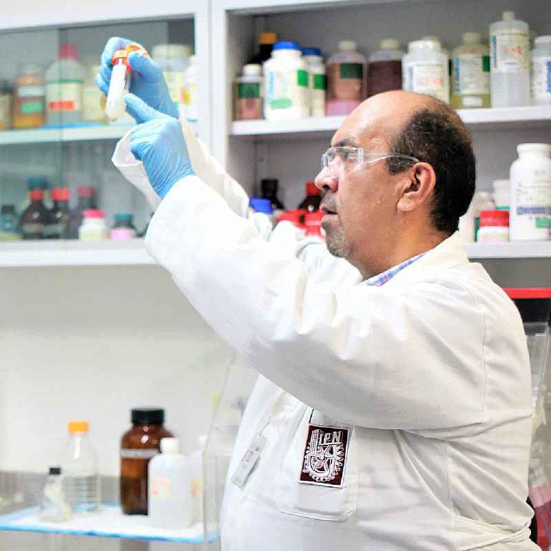 Desarrollan científicos del IPN un bioinsecticida para detener incremento de dengue por lluvias