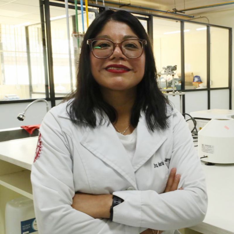 Científicos del IPN desarrollan nanocompuestos que optimizan tratamientos contra el cáncer