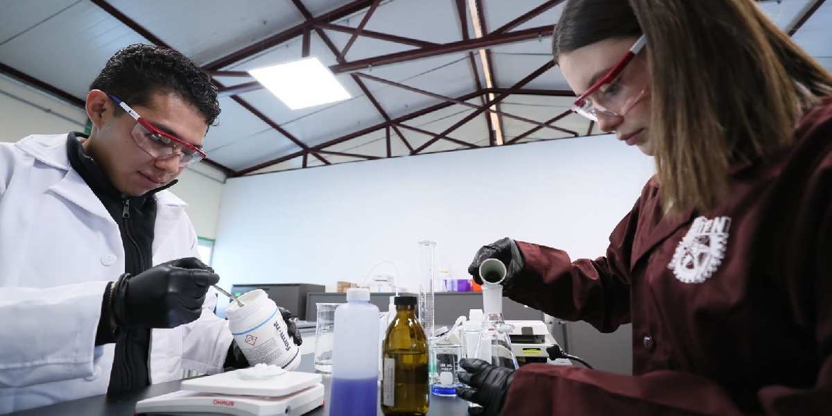 Alista IPN plástico que se disuelve y purifica el agua