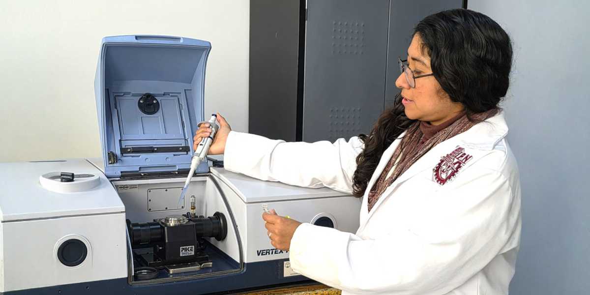 Desarrolla IPN un biosensor que detecta la bacteria asociada a la gastritis y al cáncer de estómago