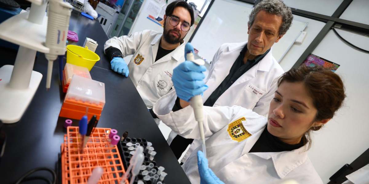 Con células madre, el IPN avanza en la regeneración de huesos, cartílago y tejido muscular