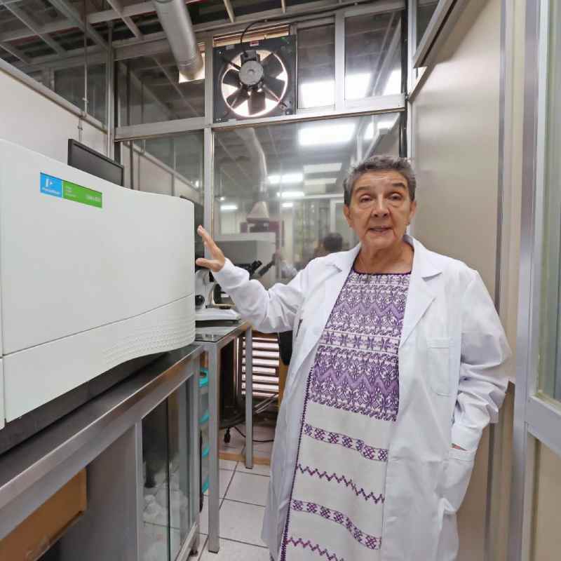 Instalan investigadoras del IPN estaciones para monitorear sargazo en Quintana Roo