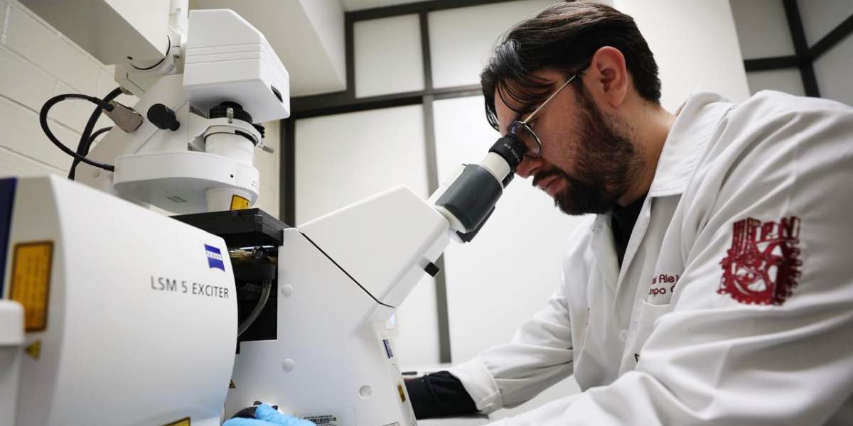 El IPN se sitúa entre las 10 mejores universidades del país: QS World University Rankings