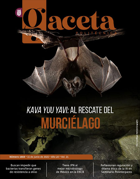 Politécnica: Kava Yuu Yavi: al rescate del MURCIÉLAGO