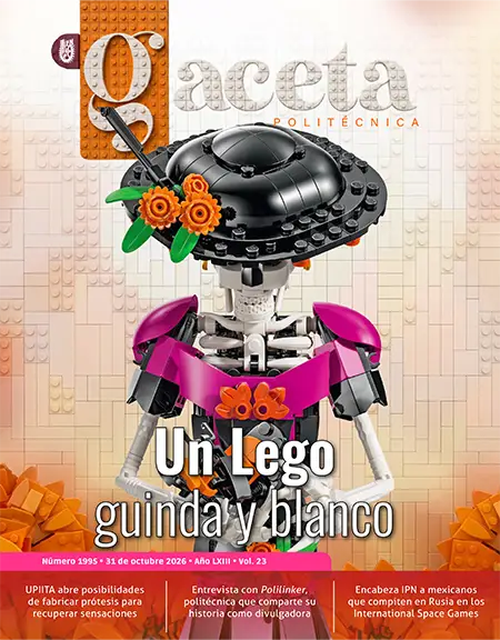 Politécnica: Un Lego guinda y blanco