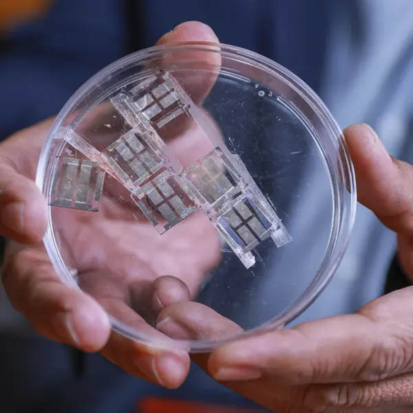 IPN and Spanish University Collaborate on Organic Solar Cell Development