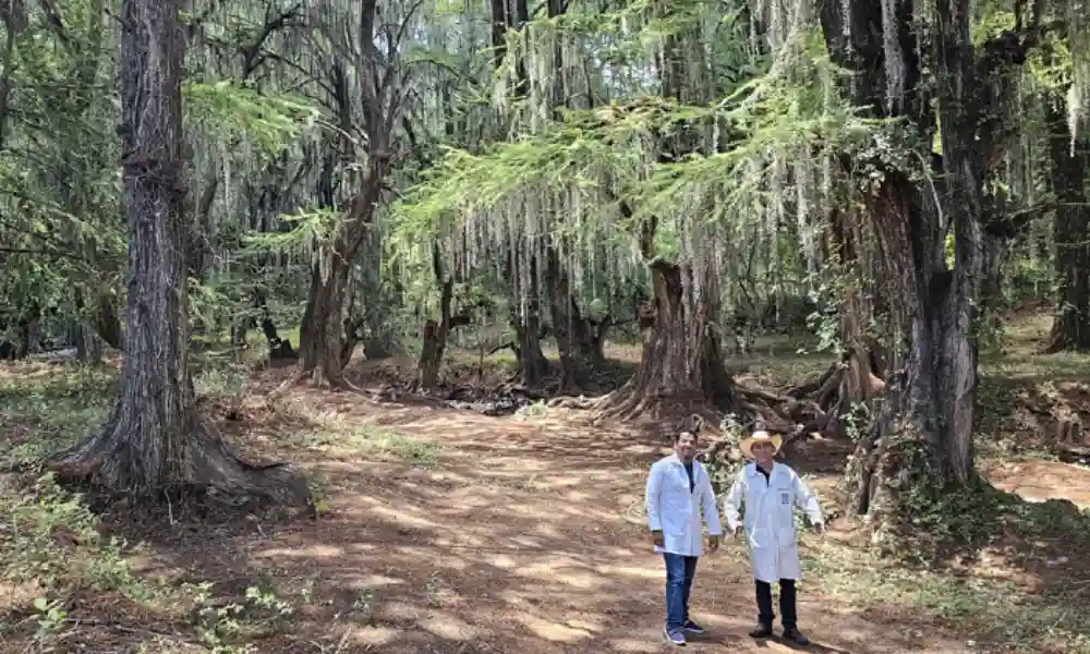 IPN fortalece la conservación de la Barranca de San Quintín