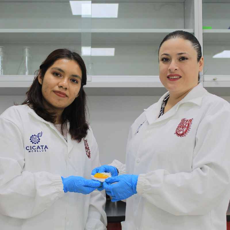 IPN Develops Smart Patch for Treating Chronic Wounds