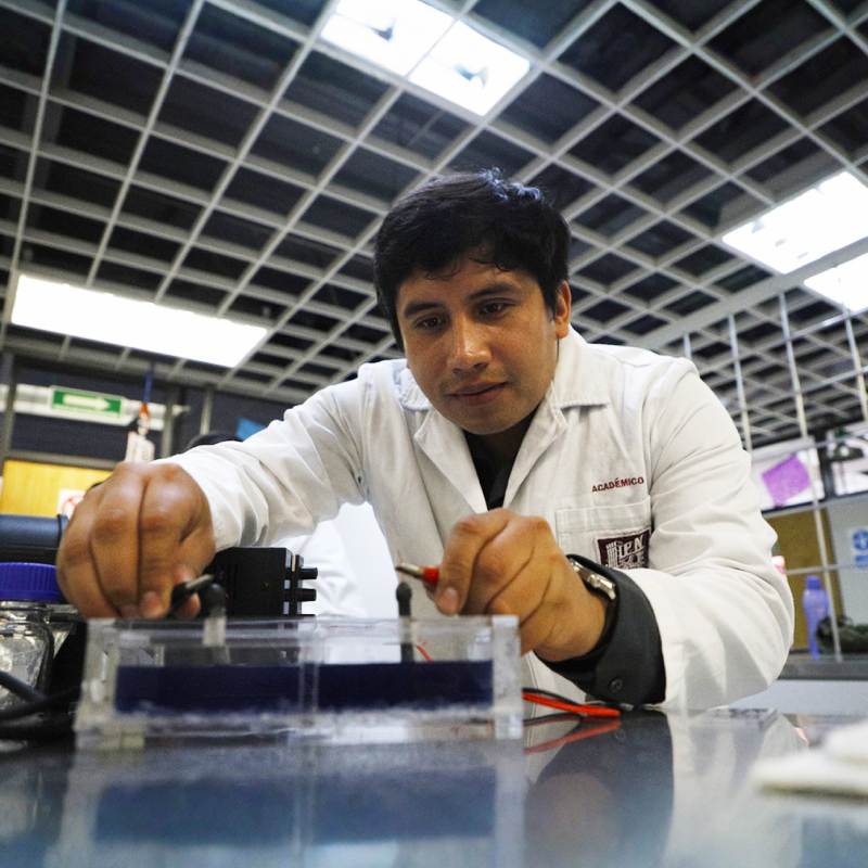 IPN Students Develop Sargassum-Based Electrodes to Decontaminate Wastewater