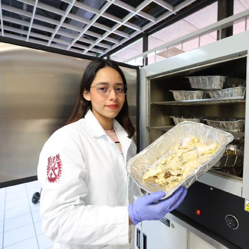 IPN Researchers Move Forward in Turning Agro-Industrial Waste into Degradable Plates
