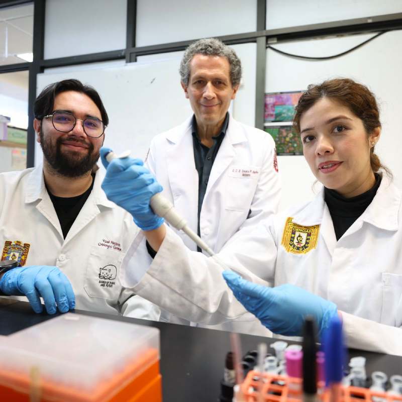 IPN Advances Bone, Cartilage, and Muscle Regeneration Using Stem Cells