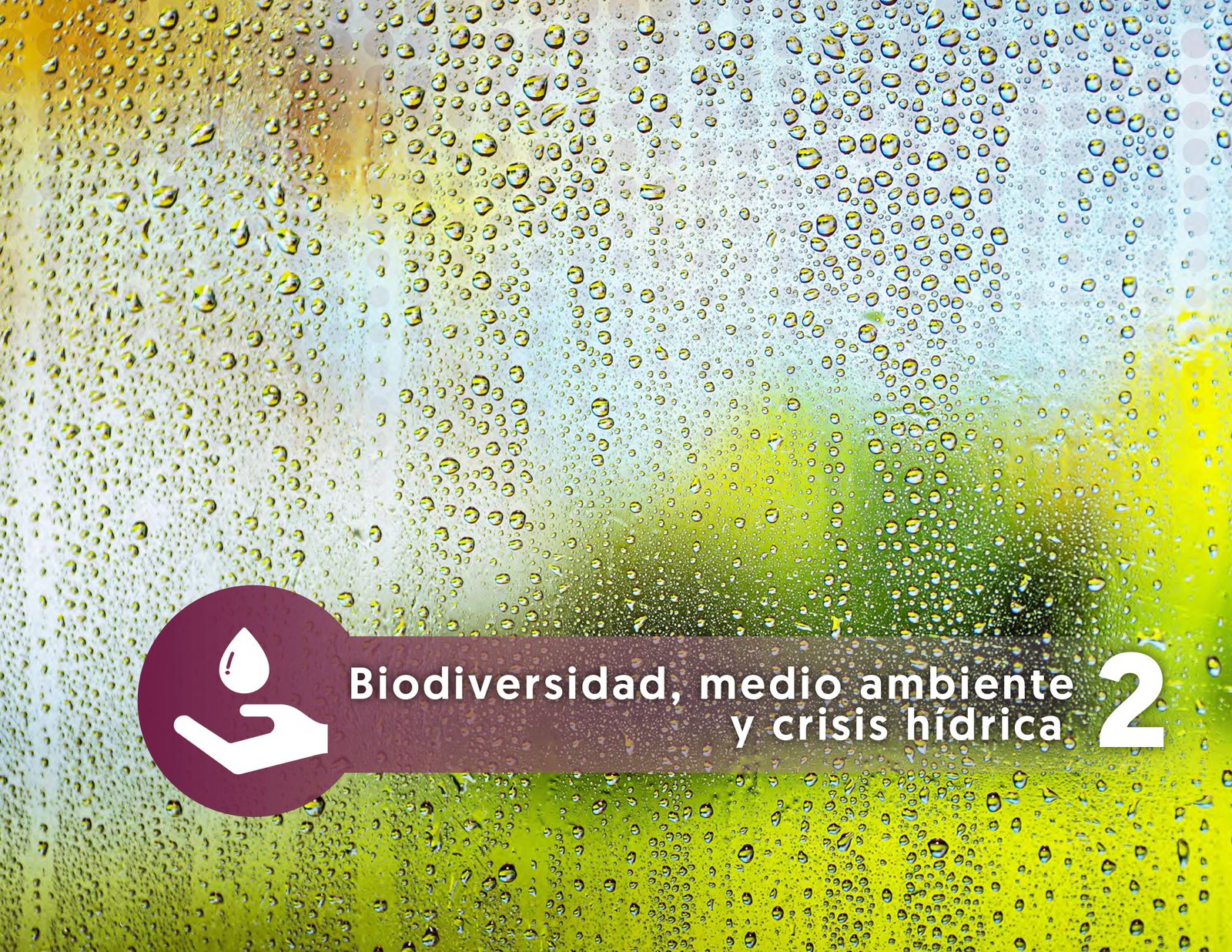 biodiversidad