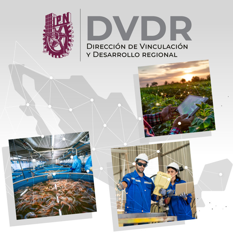 Dirección de Vinculación y Desarrollo Regional