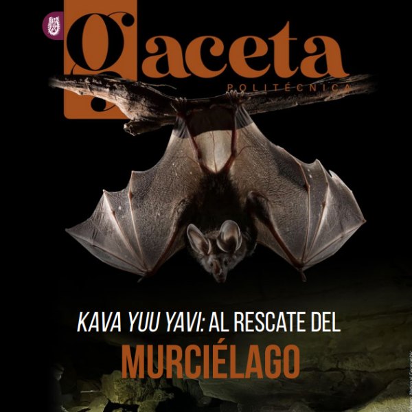 Gaceta 1869