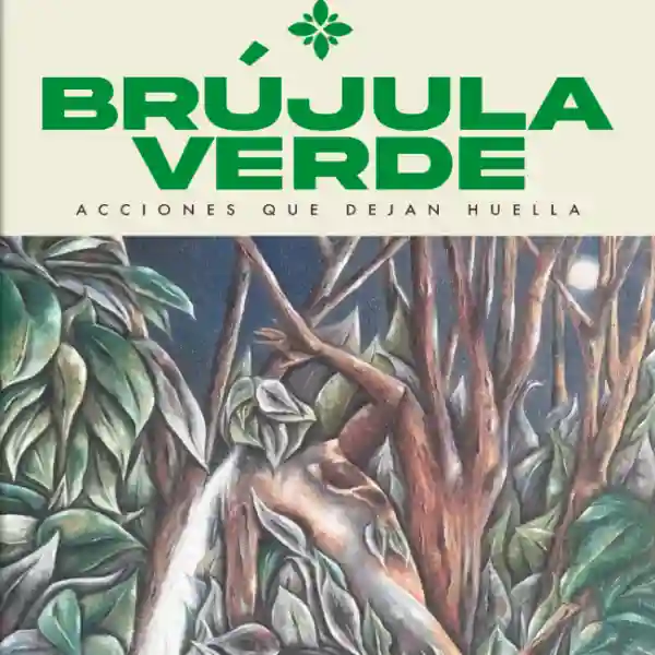 Brújula Verde 4