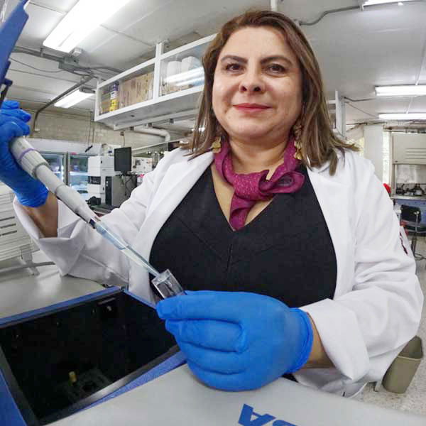 Investigan si frutos mejoran audición