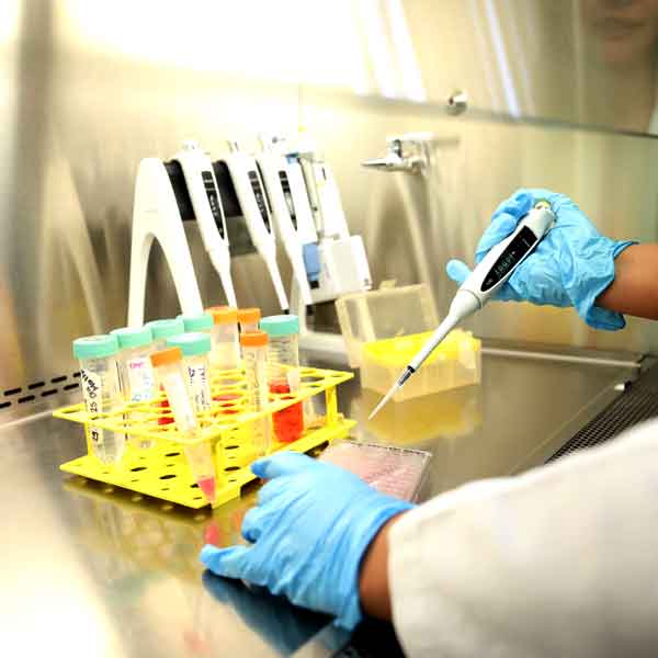 Evalúan fármacos ya existentes para frenar metástasis