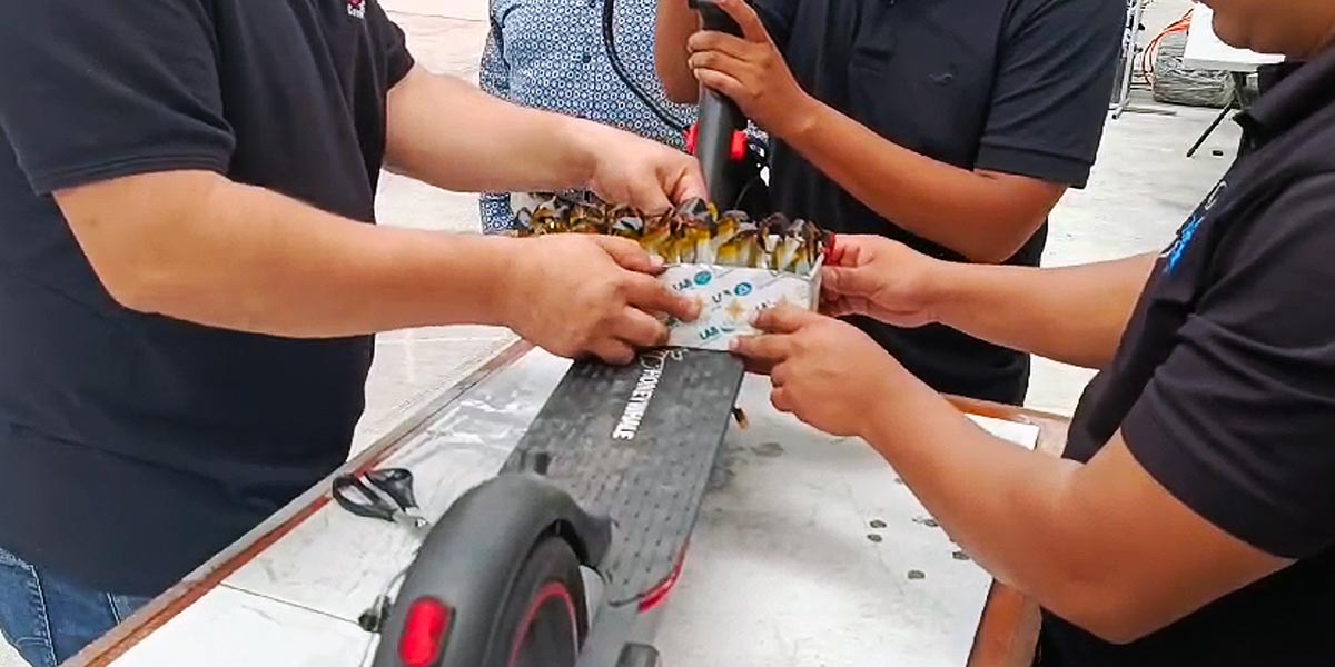 Detonará IPN electromovilidad con batería de Litio