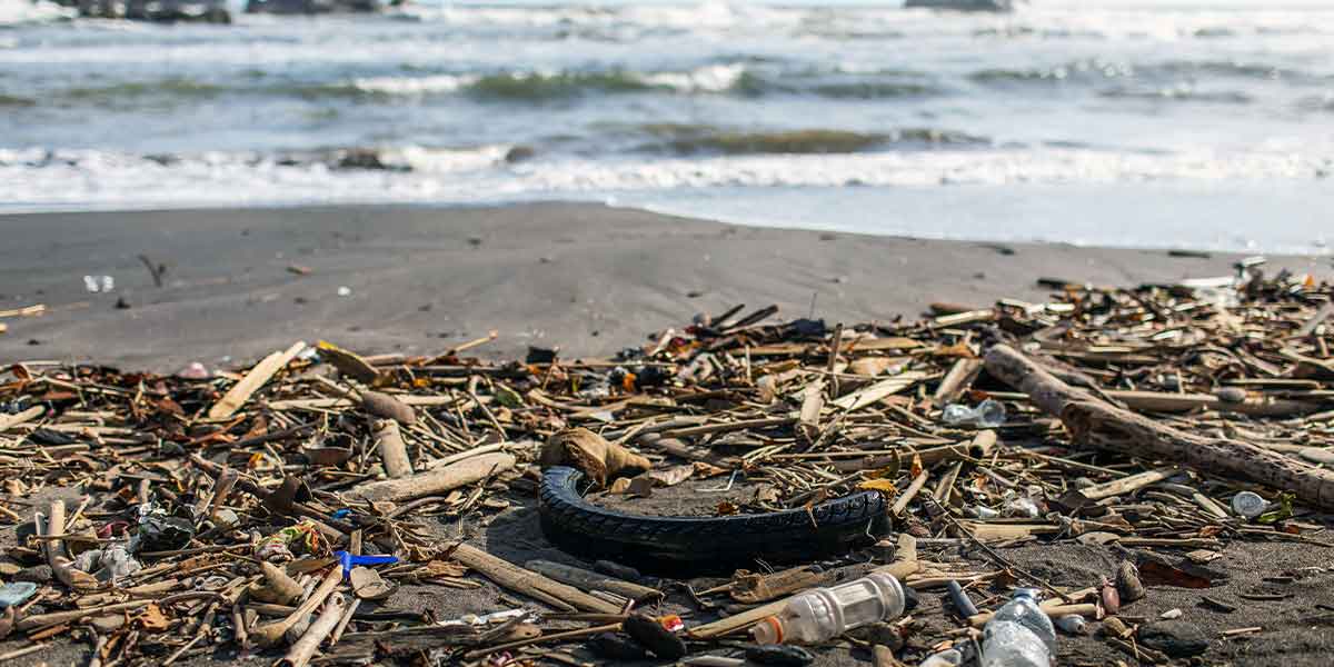 Urge manejo responsable de los recursos marinos