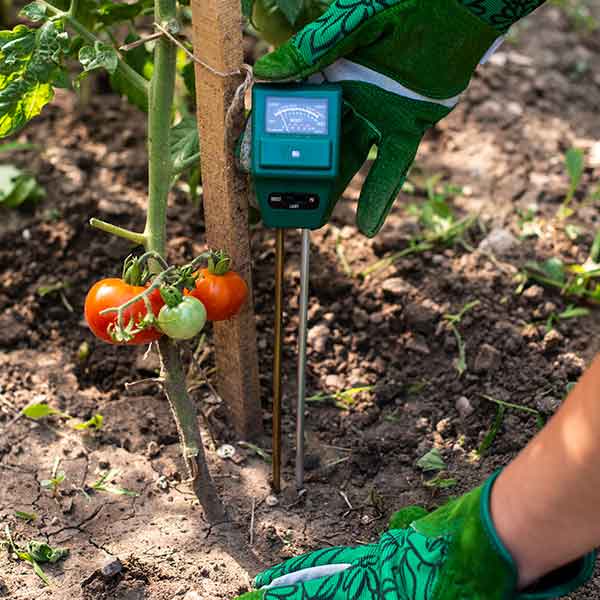 Aplican tecnología satelital para gestión de la seguridad alimentaria