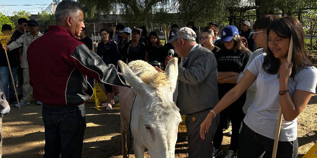 Suman “Tequios por la paz” en Zacatenco
